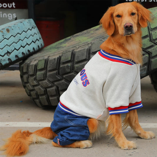 Vêtements à quatre pattes pour chien et animaux de compagnie.