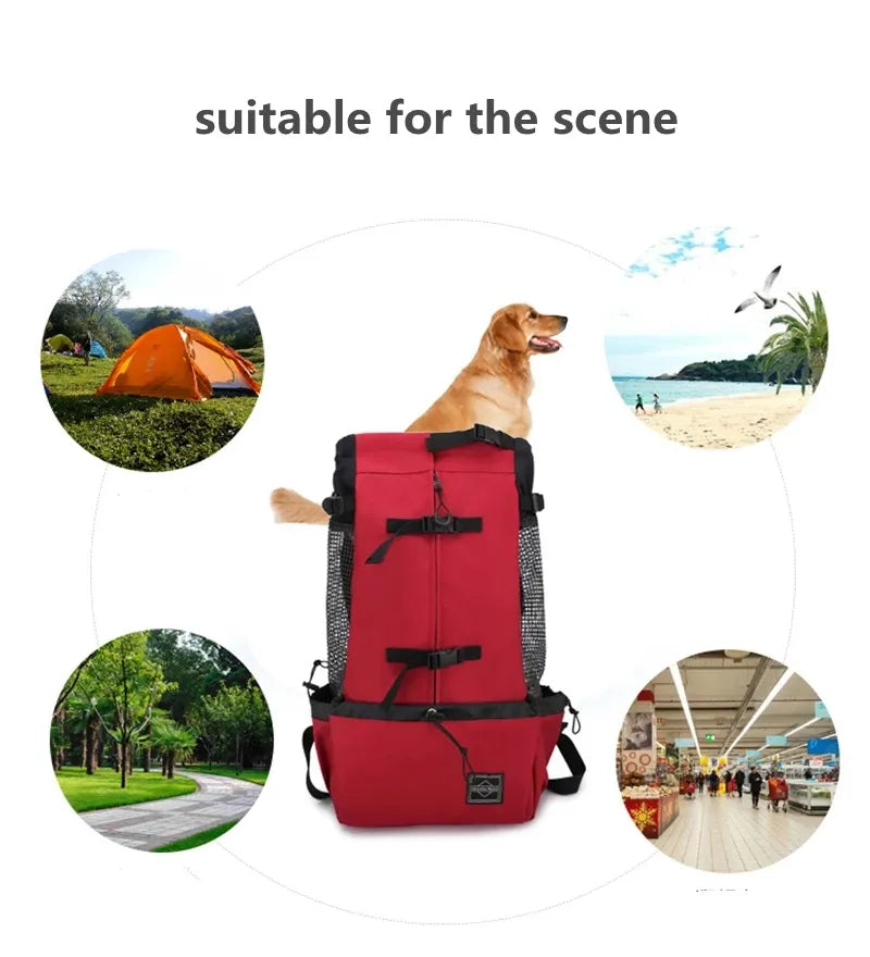 Sac de transport respirant pour chienᵀᴹ, sac à dos Portable de voyage en plein air pour animaux de compagnie, sacs de transport réfléchissants pour chats bouledogue français, accessoires pour chiens