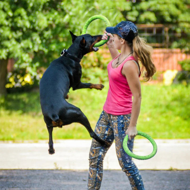 Jouet interactif pour chiots