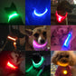 LedCollar™ - Collier à LED pour chien rechargeable.